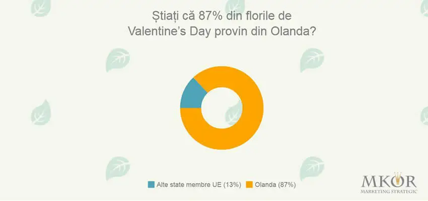 flori_olanda