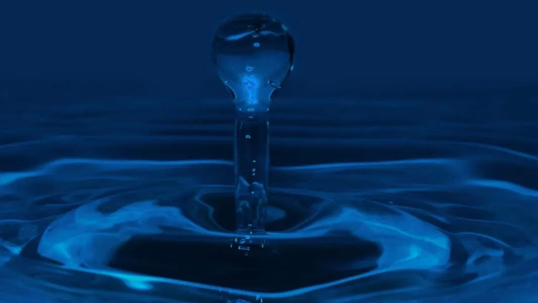 water-brand-research