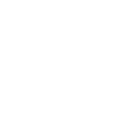 logo_vivantis