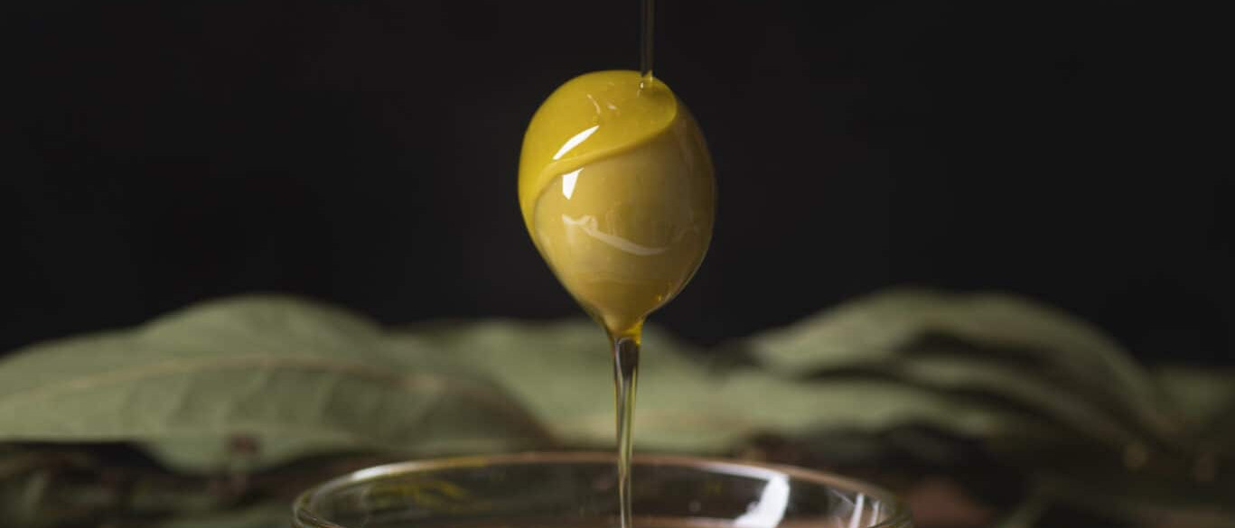 Studiu oportunitate piața FMCG premium din România Darvari Garden