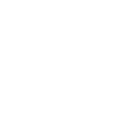 logo-epantofi