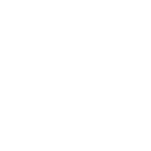 logo-silver-stone