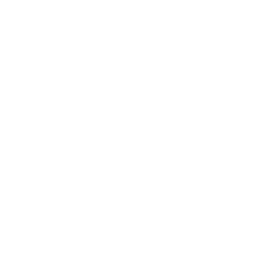 logo Bobo Shop
