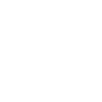 logo Bonami