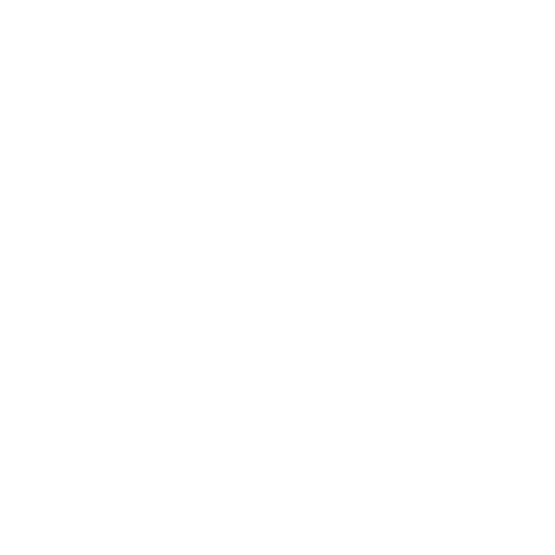 logo Chic Ville