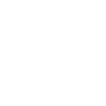 logo Staer