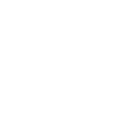 logo The Home