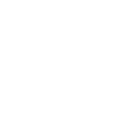logo Vida XL