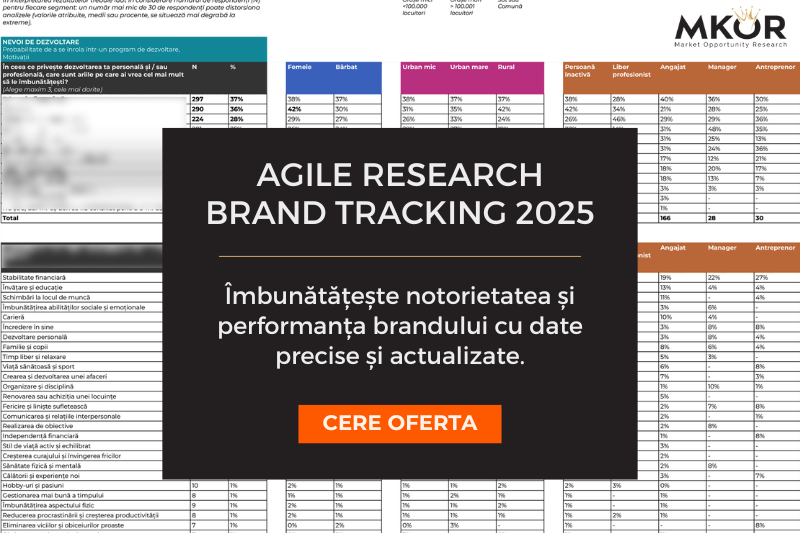 studiu-oportunitate-piata-auto-romania-autowass3