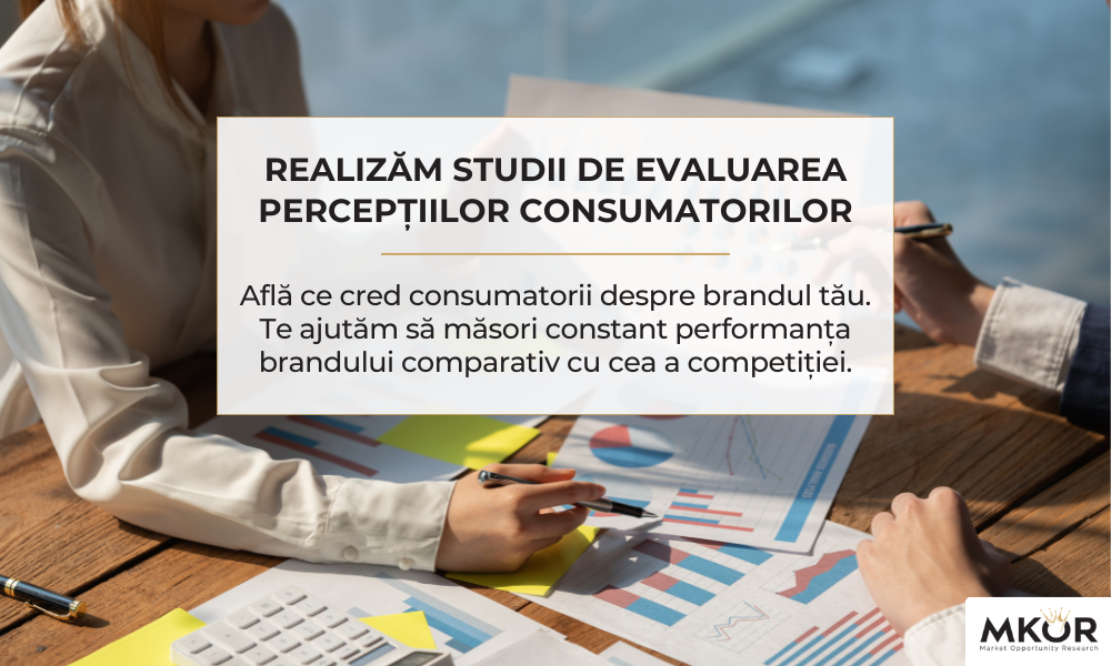 studiu-perceptiile-asocierile-consumatorilor-piata-de-fashion-non-conformist3