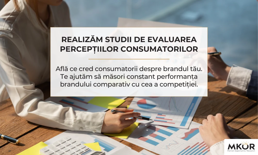 studiu-perceptiile-asocierile-consumatorilor-piata-de-fashion-non-conformist3