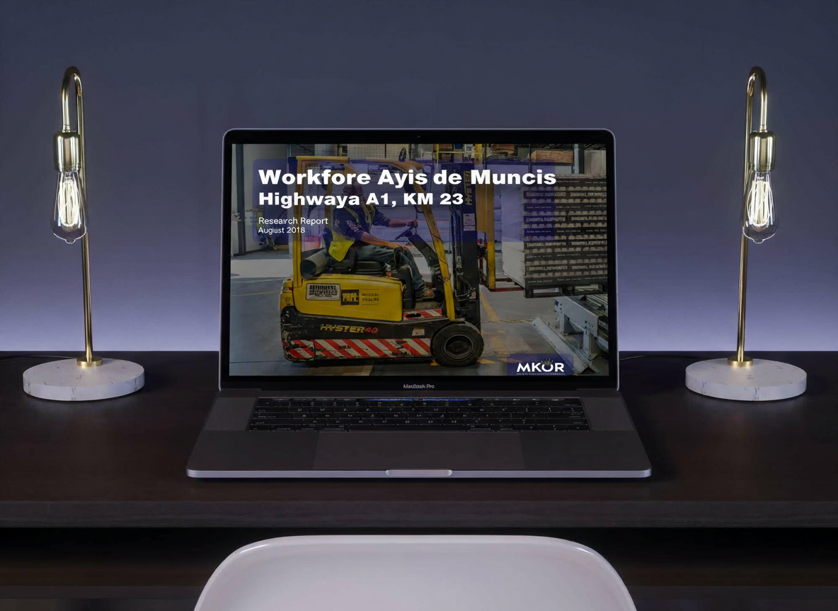 Preview raport de analiză